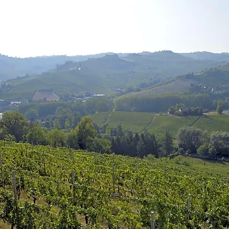 I Tigli Di Altavilla Alba (Piedmont)
