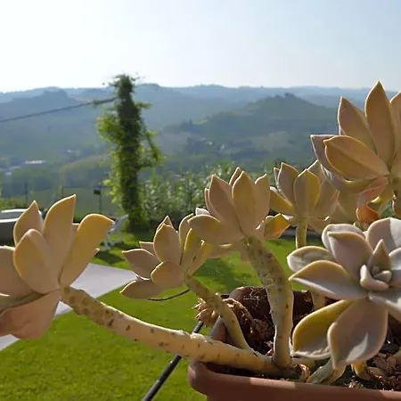 Bed & Breakfast I Tigli Di Altavilla Alba (Piedmont)